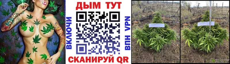 как найти наркотики ОМГ ОМГ маркетплейс Конопля сатива Острогожск